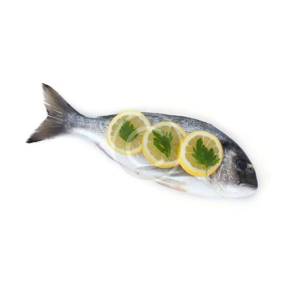 Fresh dorado